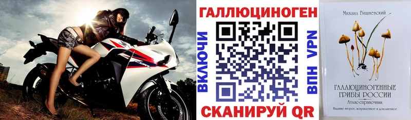 Псилоцибиновые грибы Cubensis  Купить закладки  Лодейное Поле 